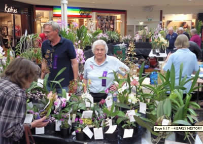 And congratulations to Gordon Clarke for winning Grand Champion with his lovely Phalaenopsis (top).